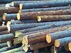 Круглый лес,пиловочник,баланс,руддолготье,рудстойка хвойных пород.