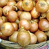 купить лук севок продажа оптом, реалезация выращевание+ хранение.
